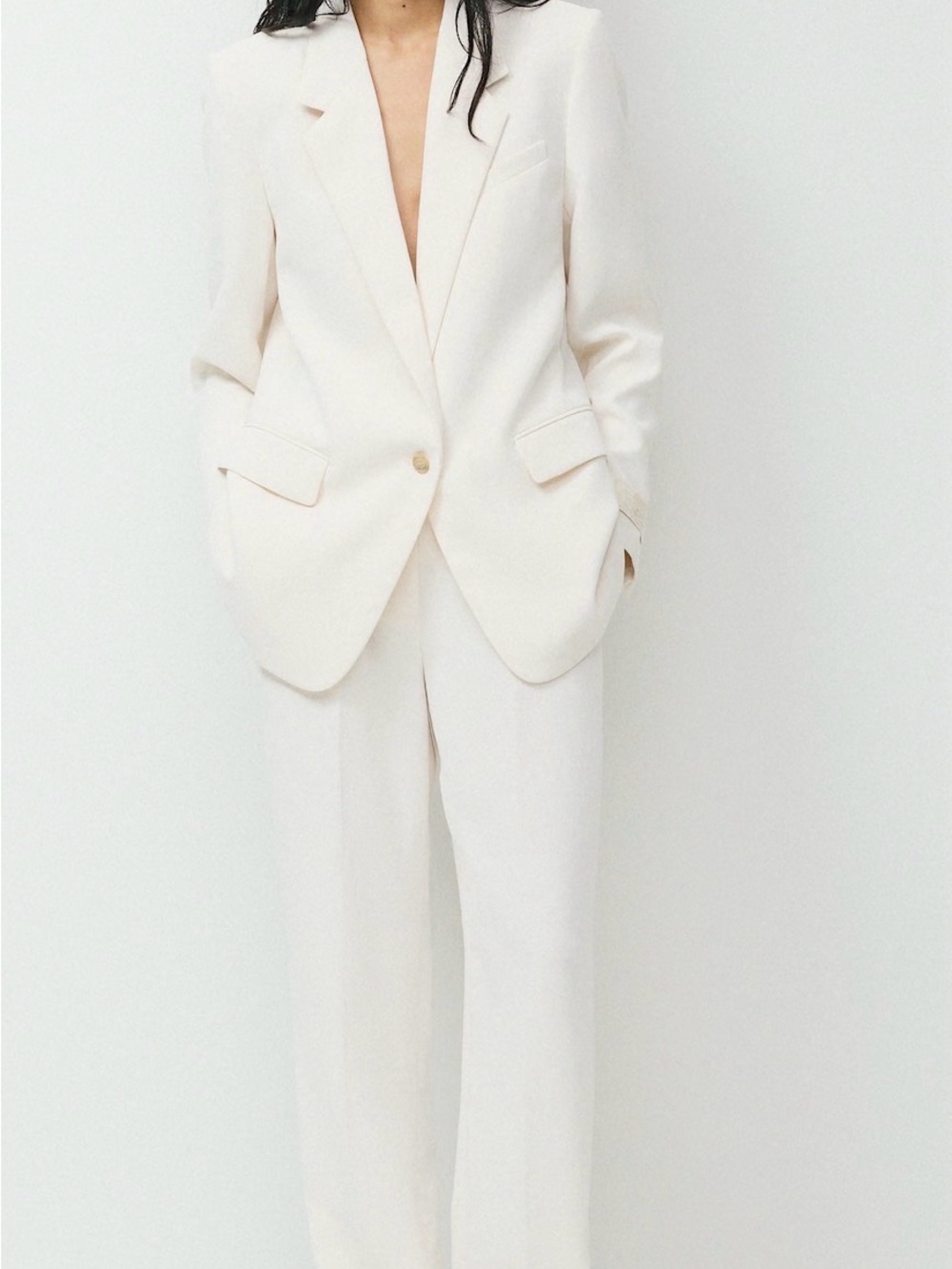 Aritzia set Blazer & Wide-Leg Pants Set jacket size 4 pante